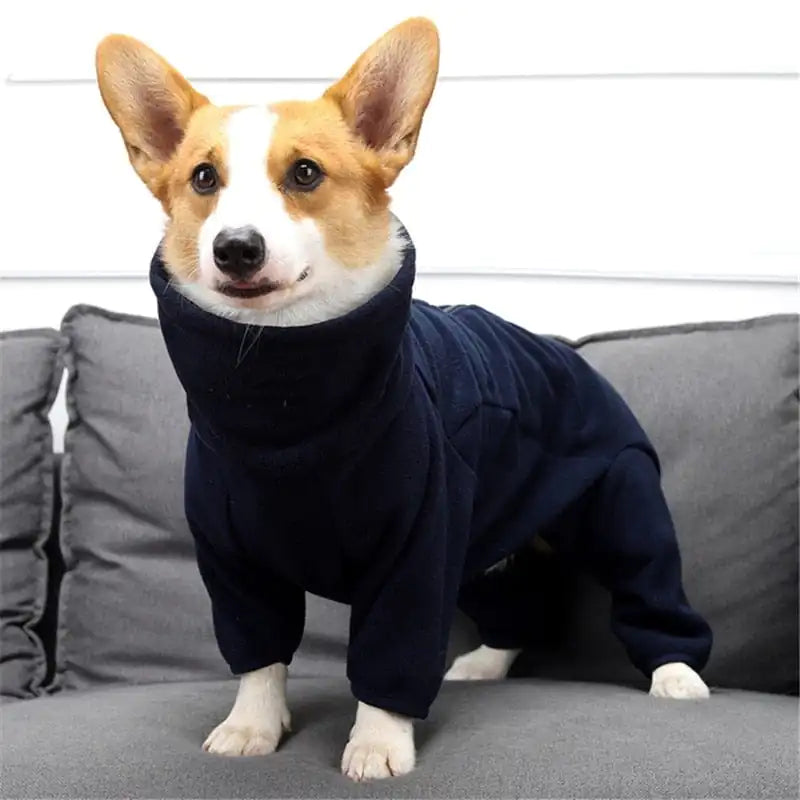 Keep Your Pup Cozy & Stylish 🐾❄️ | Warm Winter Dog Coat for Ultimate Cold Weather Protection!