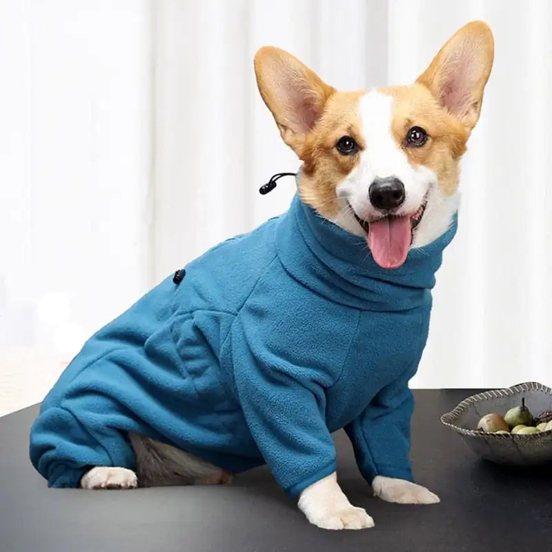 Keep Your Pup Cozy & Stylish 🐾❄️ | Warm Winter Dog Coat for Ultimate Cold Weather Protection!